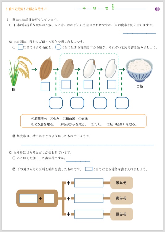 ５ 食べて元気！ご飯とみそ汁