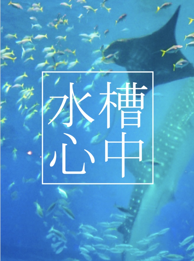 【ドフラミンゴ×尾形】水槽心中