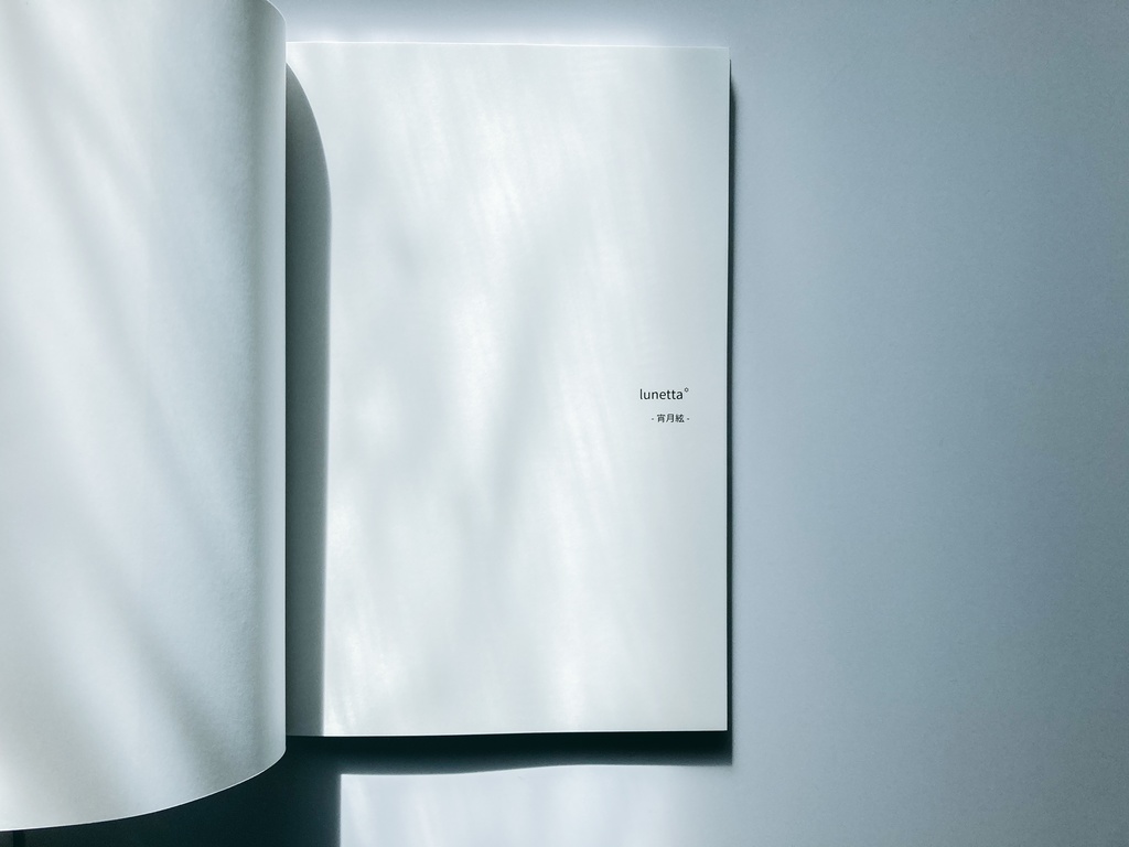 lunetta꙳