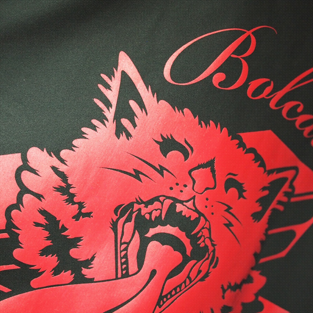 ガオレニィ_コーチジャケット