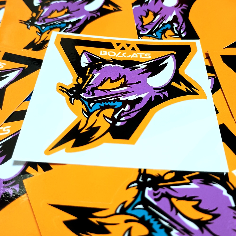 フルカラーステッカー_「TEAM」