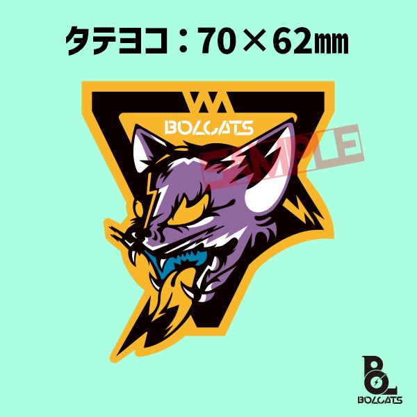 フルカラーステッカー_「TEAM」