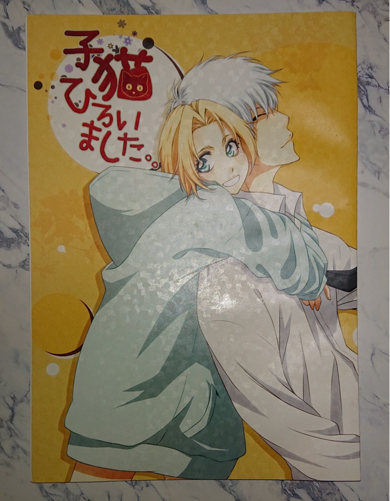 子猫拾いました。