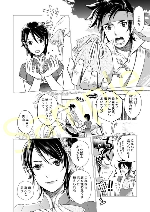 【完売】平星のトリセツ①+②