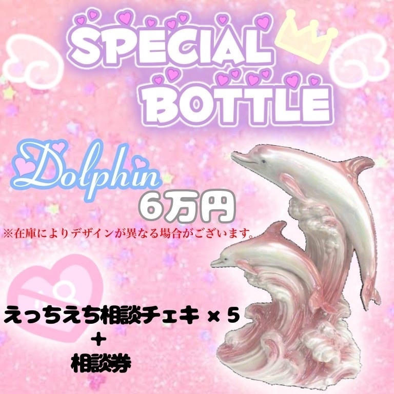 10月10日まで【予約限定】ドルフィンボトル✨【限定1本】