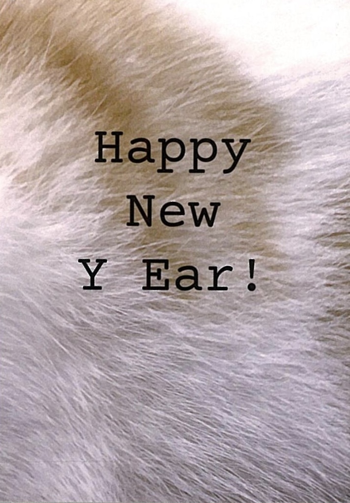 Happy New Y Ear!