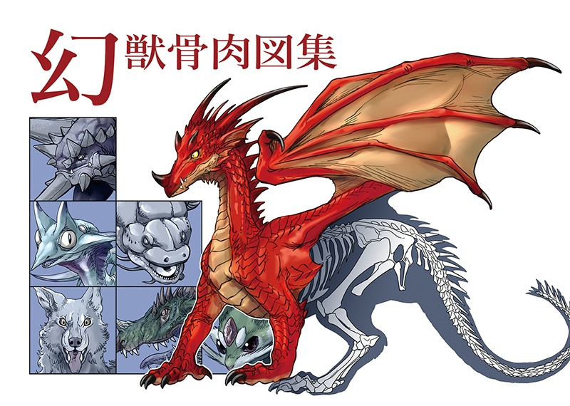 幻獣骨肉図集