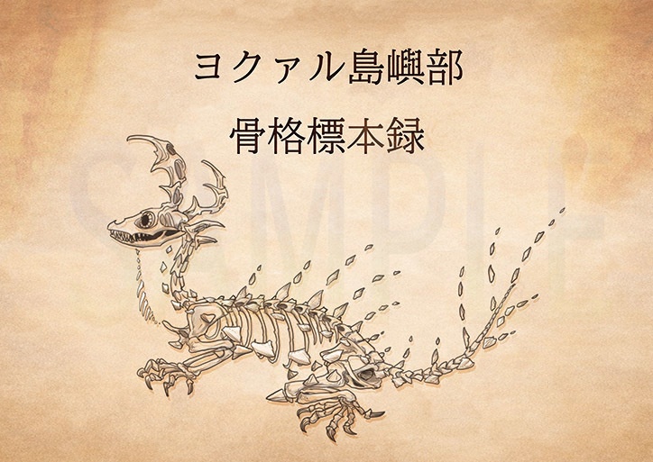 ヨクァル島嶼部骨格標本録