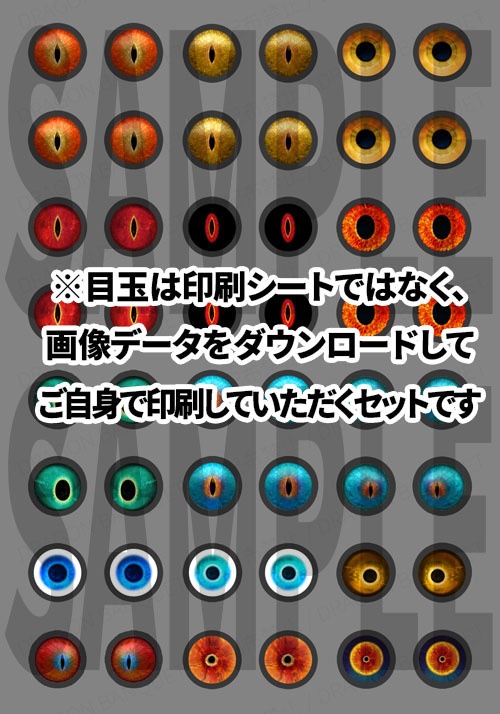 【終売】ブランクドラゴン(旧)