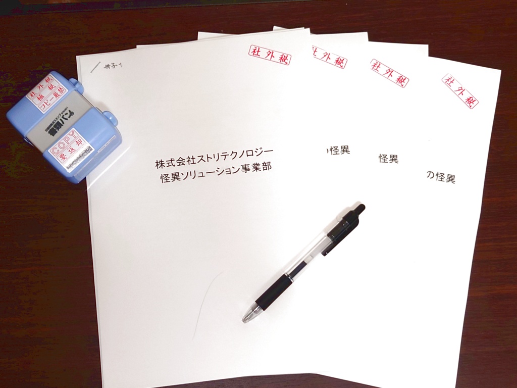 株式会社ストリテクノロジー 怪異ソリューション事業部 案件報告書 資料No.1