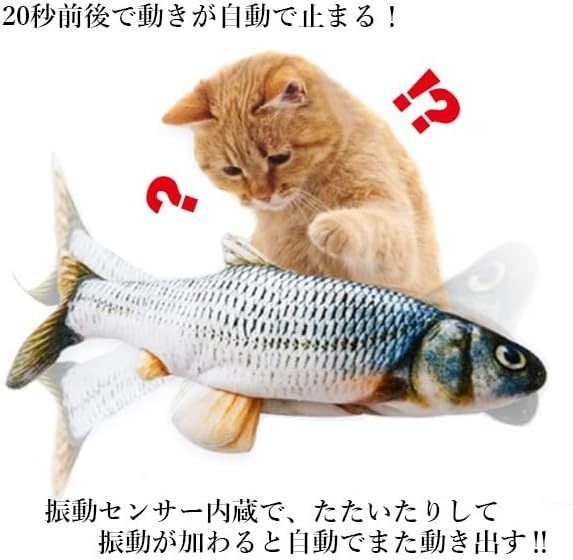 新鮮お魚ピチピチ
