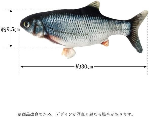新鮮お魚ピチピチ