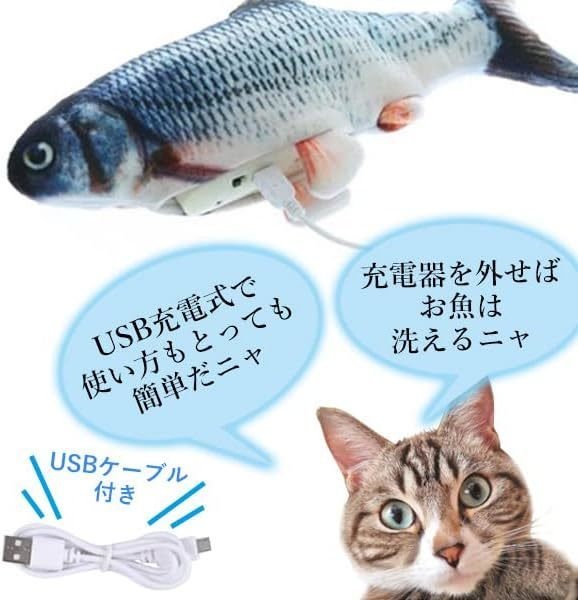 新鮮お魚ピチピチ