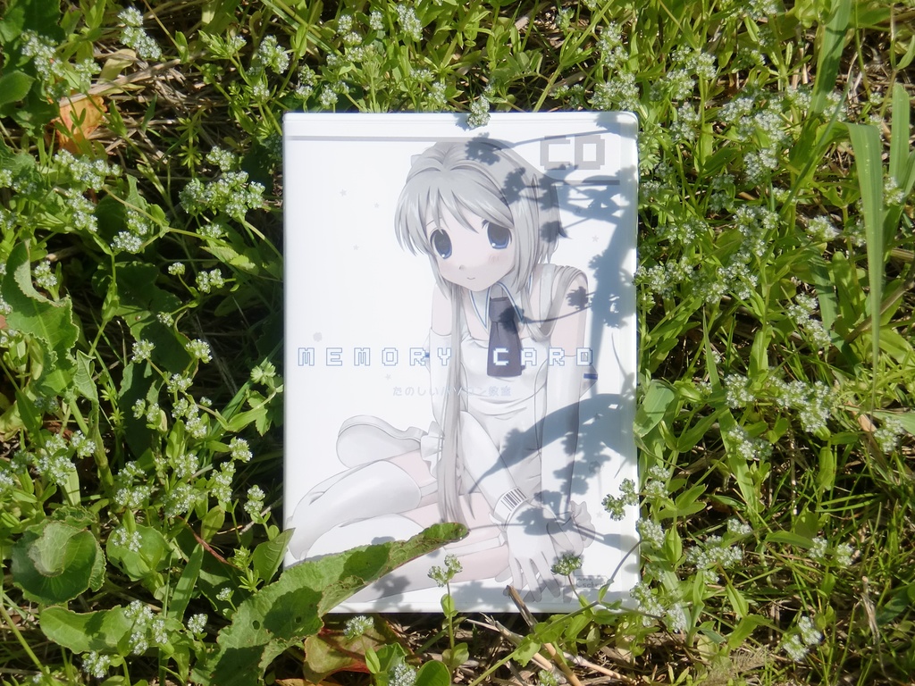 たのしいパソコン教室EP「MEMORY CARD」