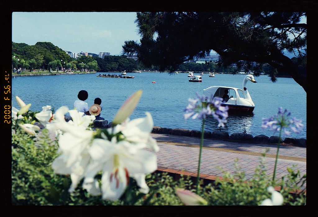 フィルム写真集『Strange Dreaming』