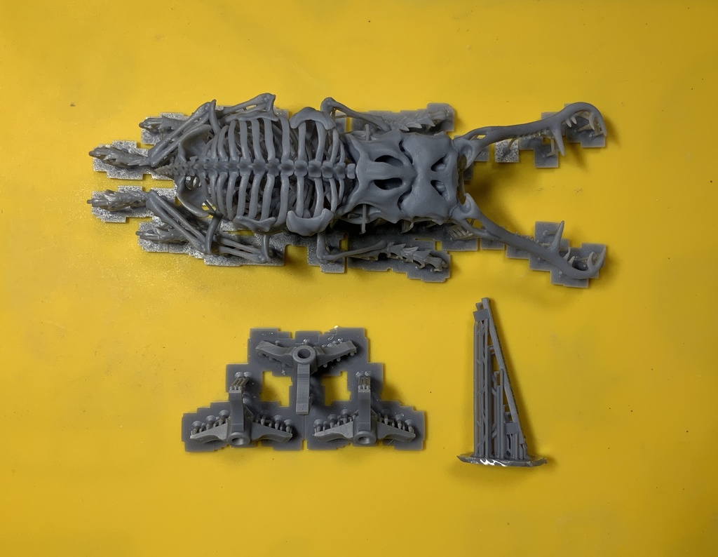 エンドスケルトンミュージアム ギラファノコギリクワガタ