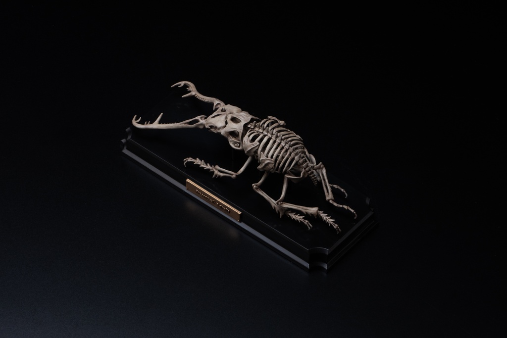 エンドスケルトンミュージアム ギラファノコギリクワガタ