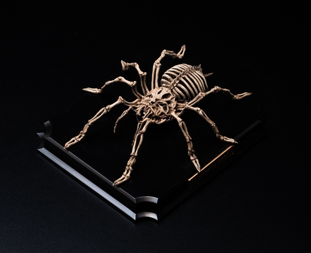 エンドスケルトンミュージアム メキシカンレッドニータランチュラ