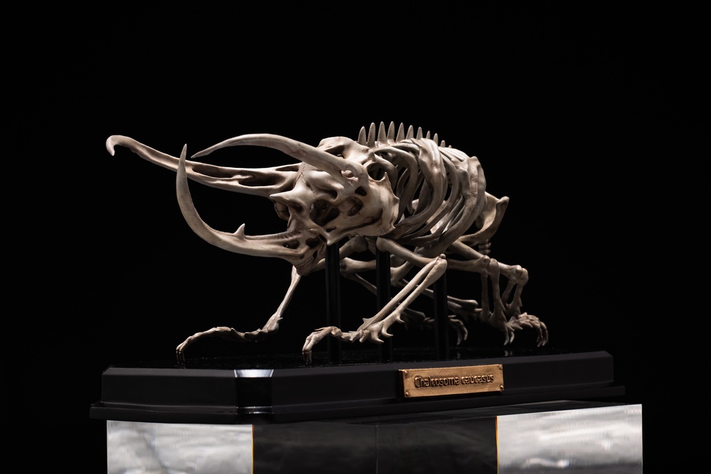 エンドスケルトンミュージアム コーカサスオオカブト