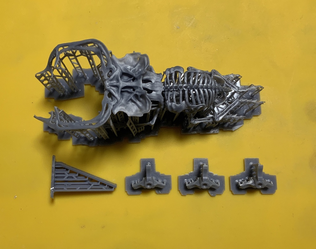 エンドスケルトンミュージアム ユダイクスミヤマ