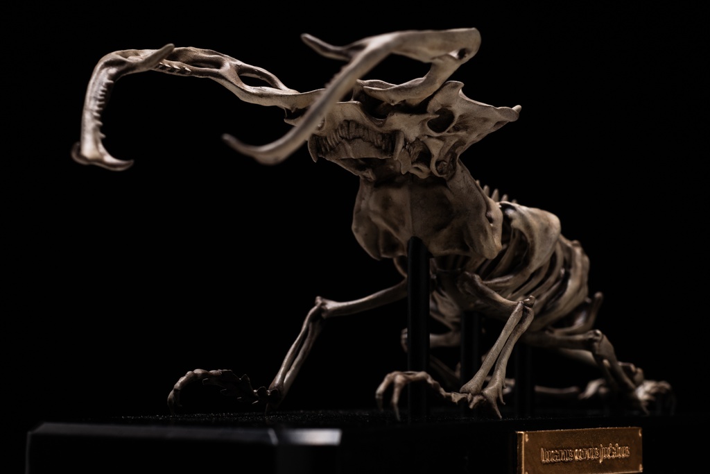 エンドスケルトンミュージアム ユダイクスミヤマ