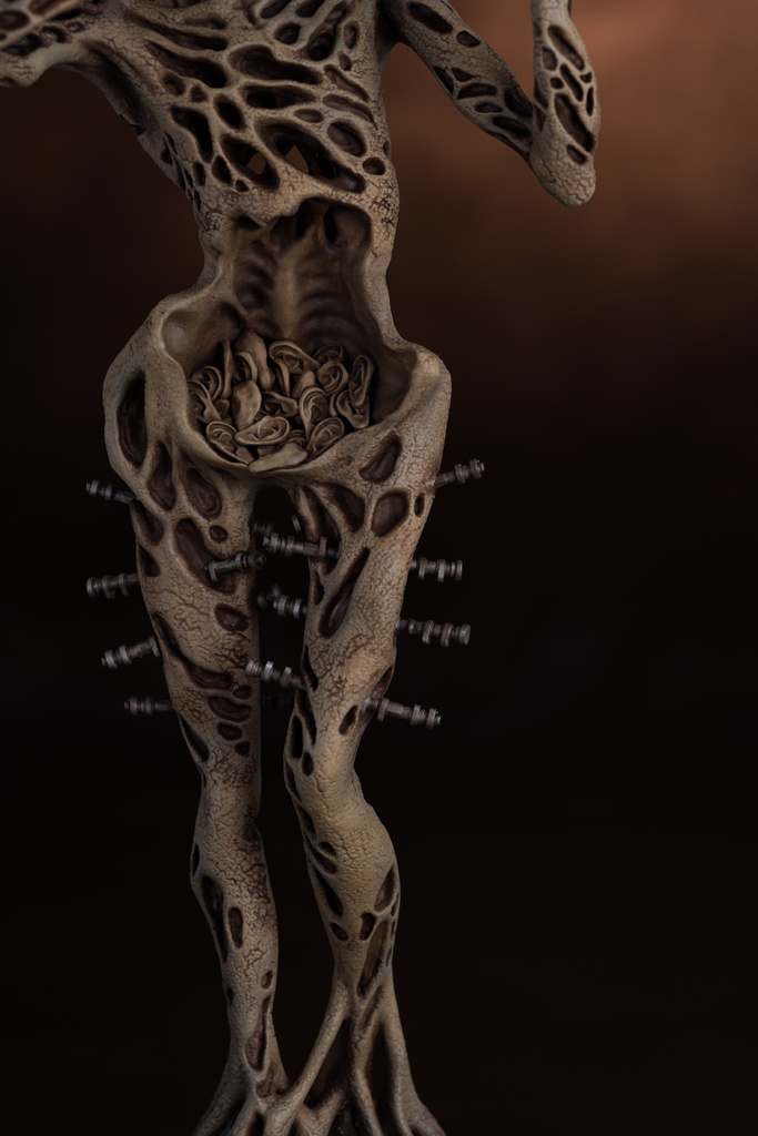 バイオリニスト