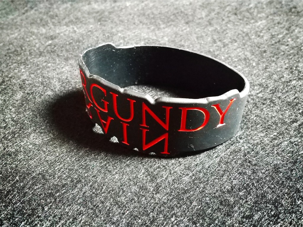 D輔監修 ラバーバンド