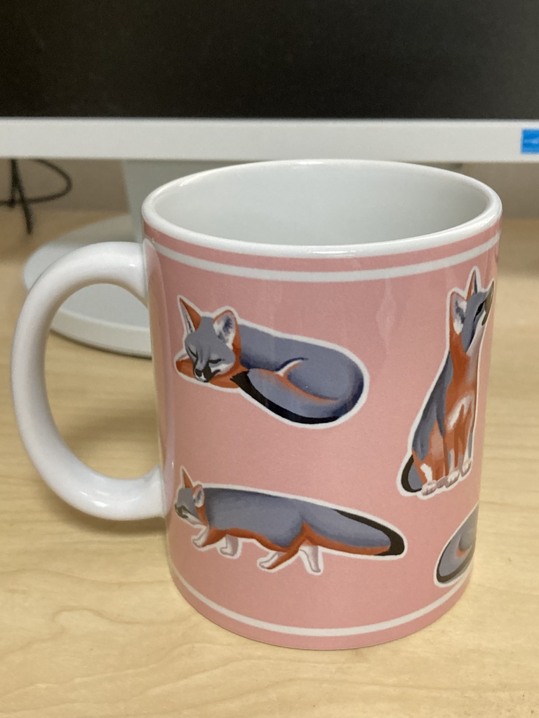 マグカップ(シマハイイロギツネ)