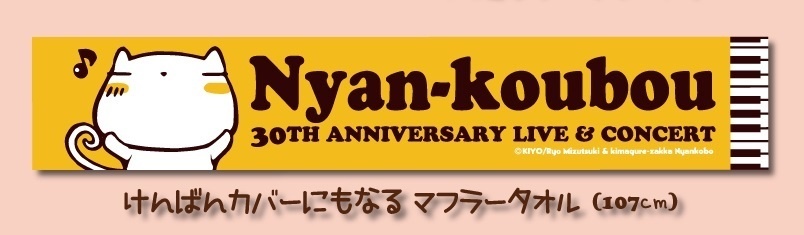30th ANNIVERSARY LIVE & CONCERT グッズ