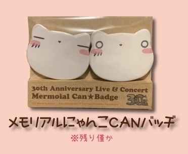 30th ANNIVERSARY LIVE & CONCERT グッズ