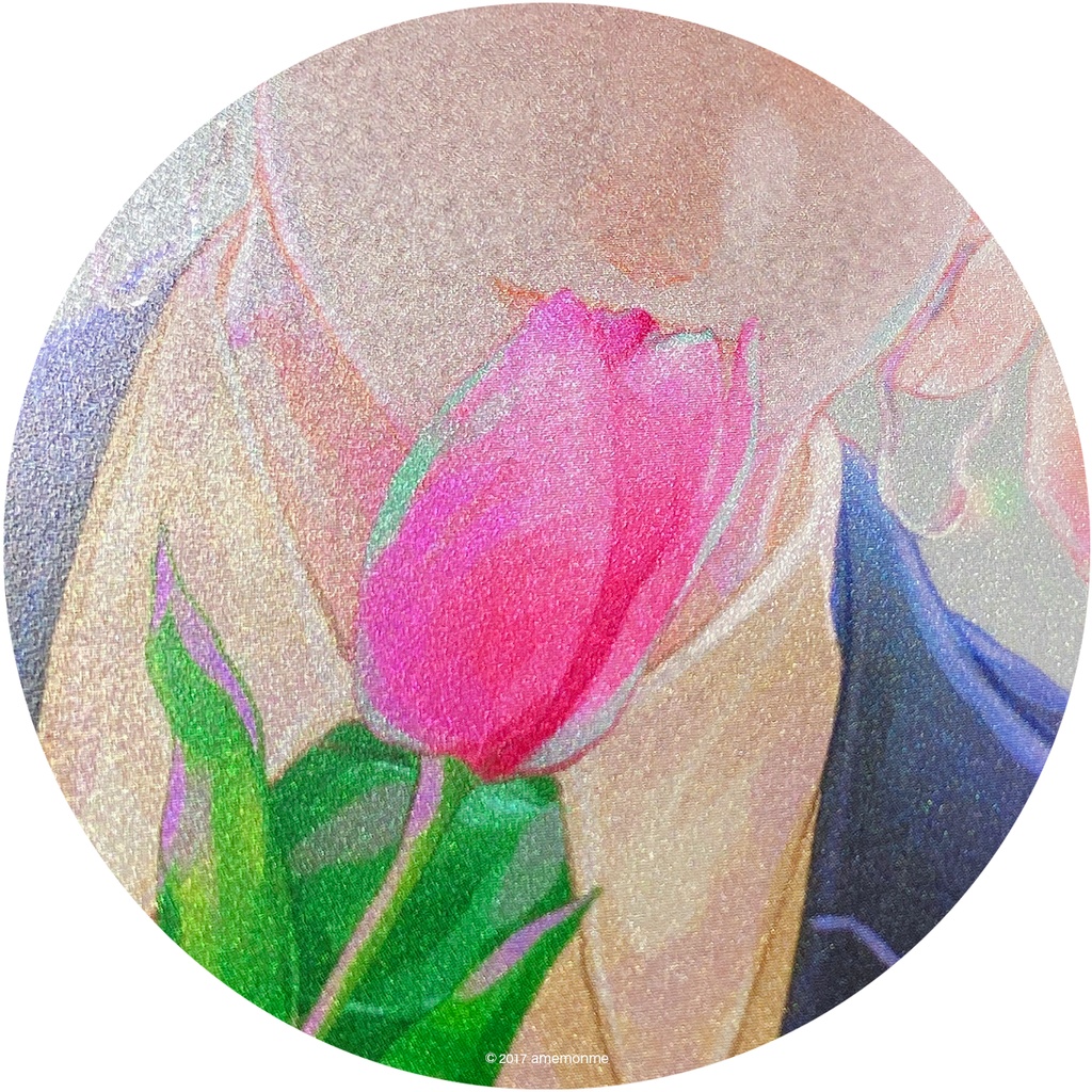 Knightsポストカードセット