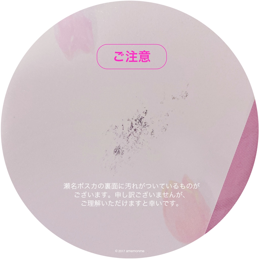 Knightsポストカードセット