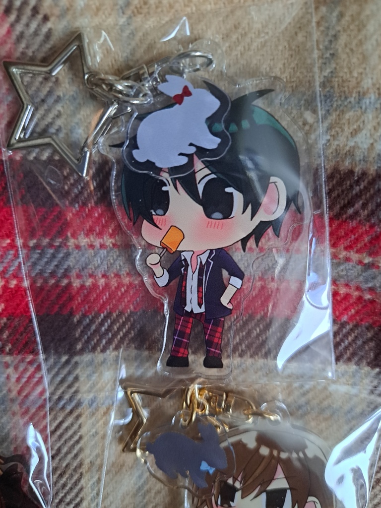 ドリアリシリーズアクキー 陽