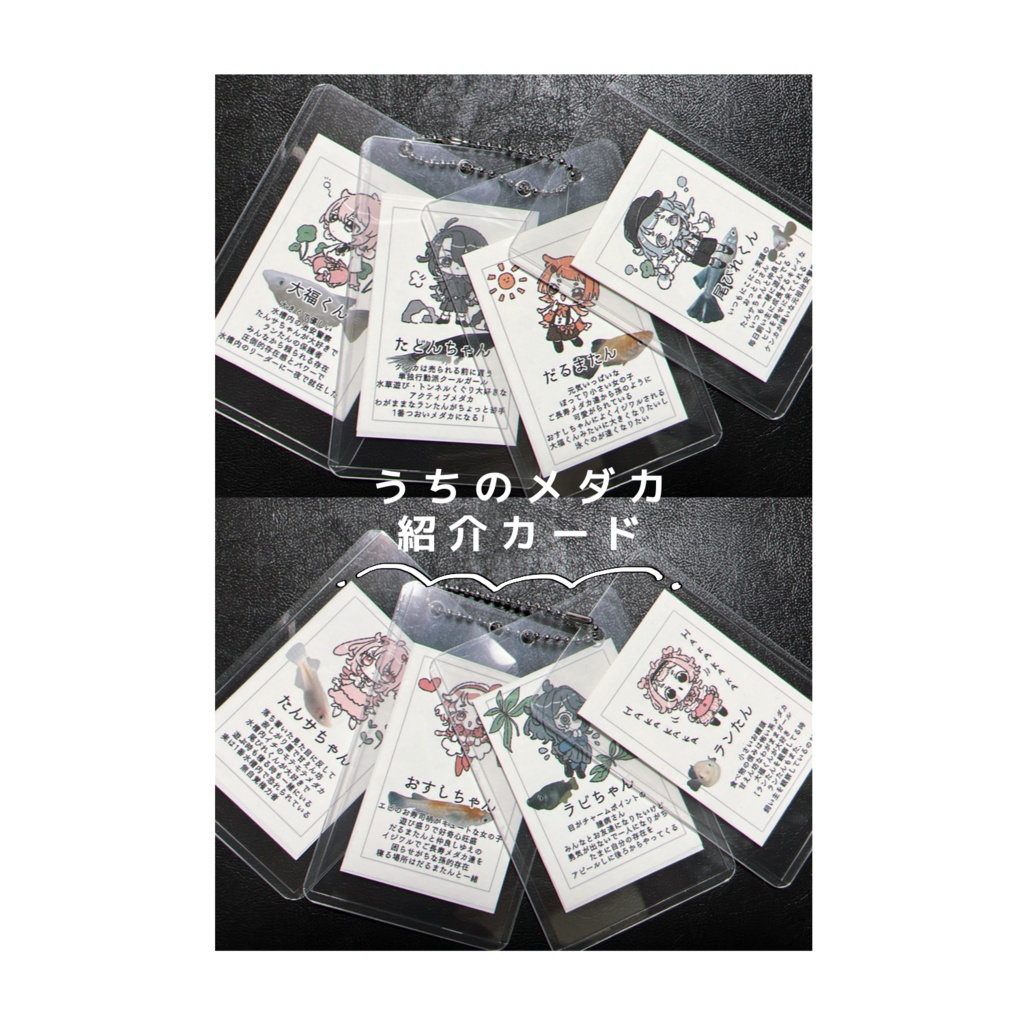 うちのメダカ紹介カード