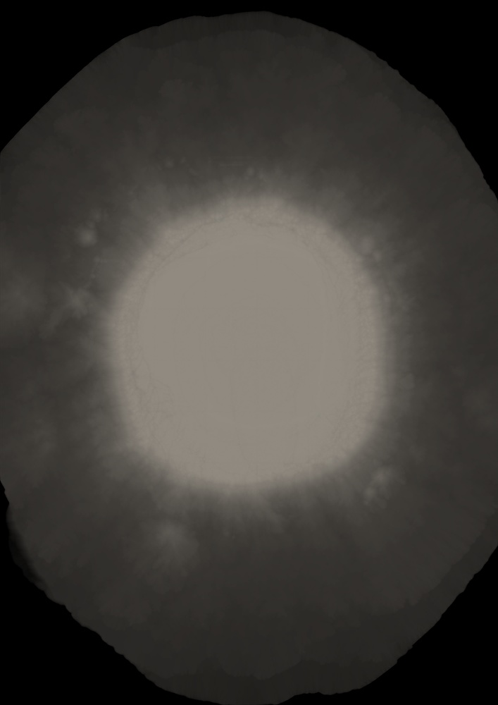 【表紙等印刷用】黒とベージュと紺の水彩素材