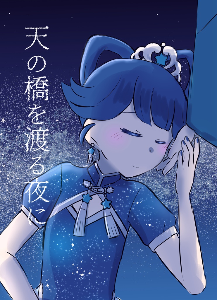 天の橋を渡る夜に