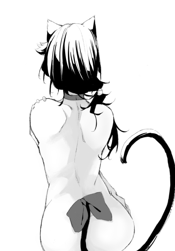 〈在星空之下〉特典〈老貓〉11/11日後開放下載