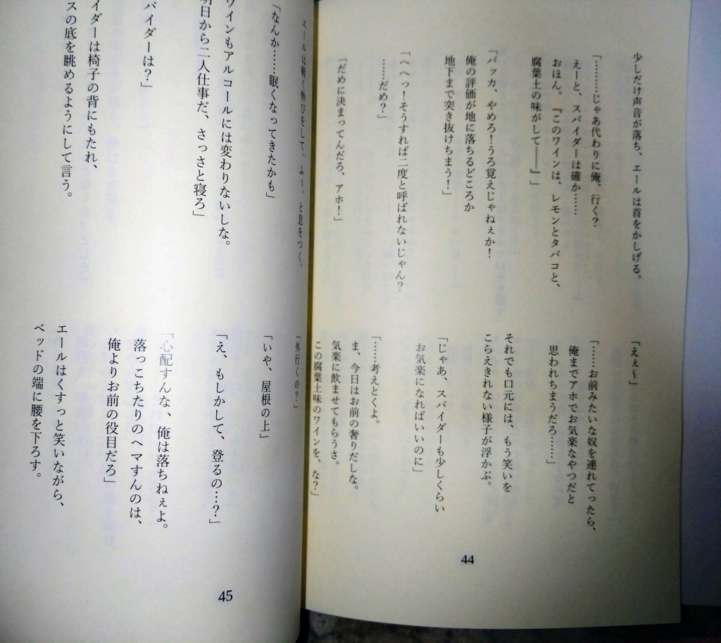 【小説本】帰る場所の名前 Wandering in the noise Somnium falsi