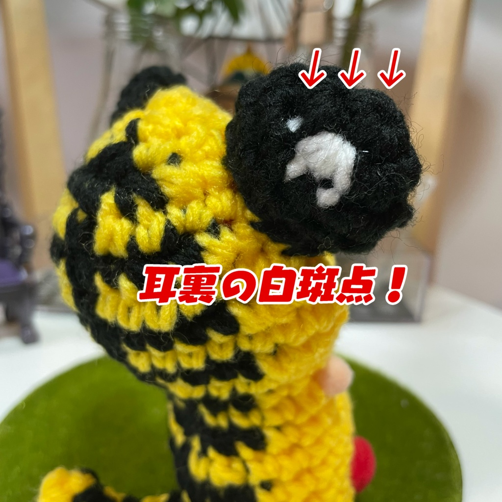 ボテスーツ とら【8/2よる9時スタート】