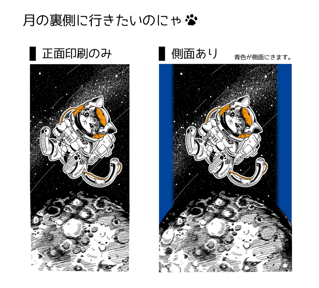 月の裏側に行きたいのにゃ