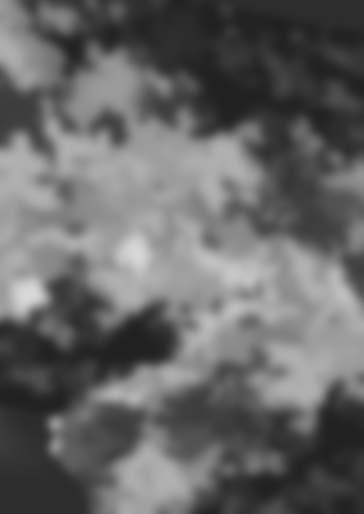 【フリー素材】指名手配ポスター風