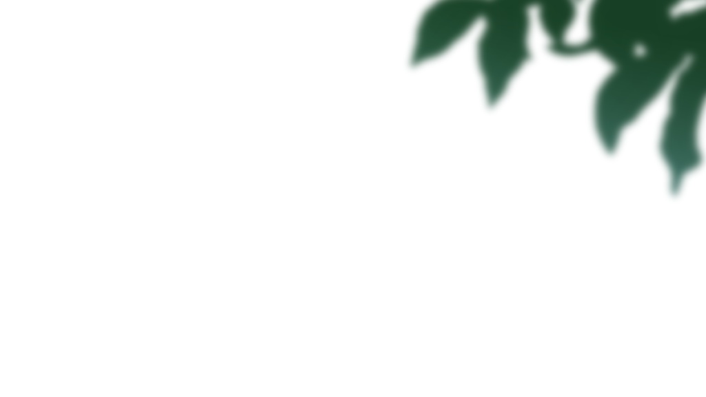 【フリー素材】海辺背景