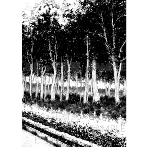 公園_自然物（２）