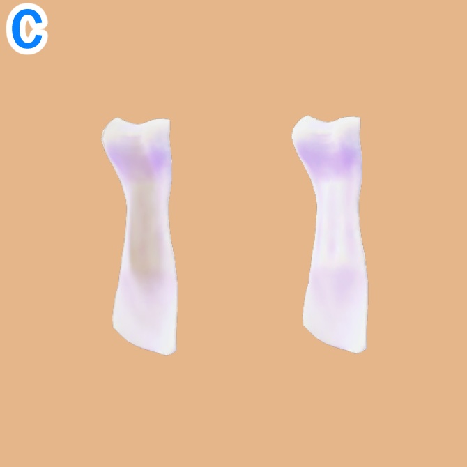 【仙猫_豺狼_ラシューシャ対応】バスタオル2種+おまけ【MA設定済み】v1