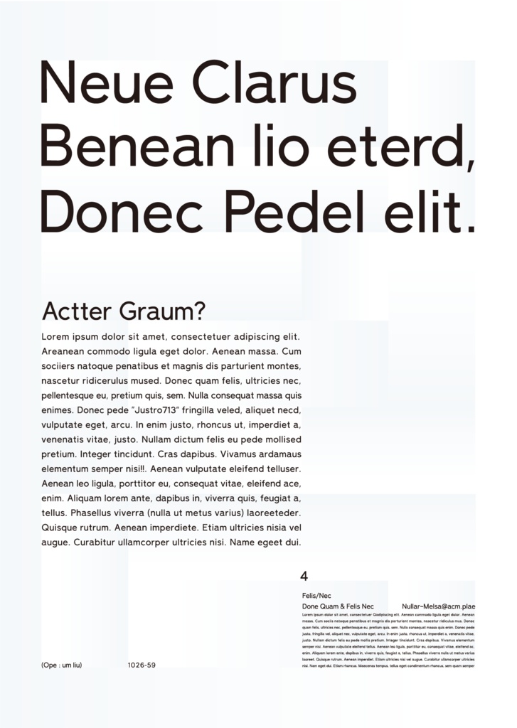 サンセリフ書体『Neue Clarus』