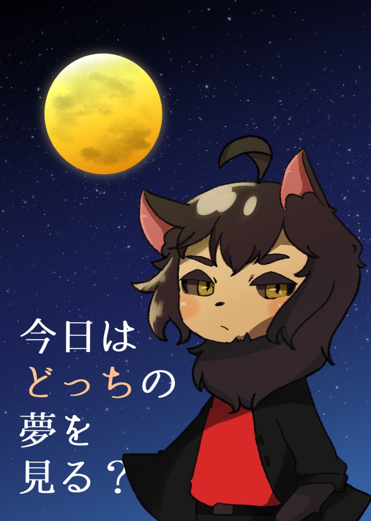 今日はどっちの夢を見る?