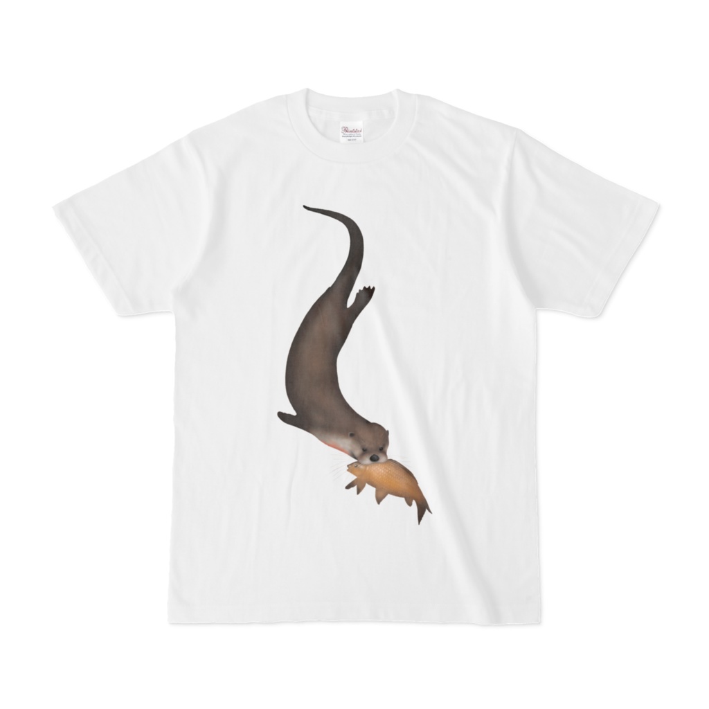 カナダカワウソ