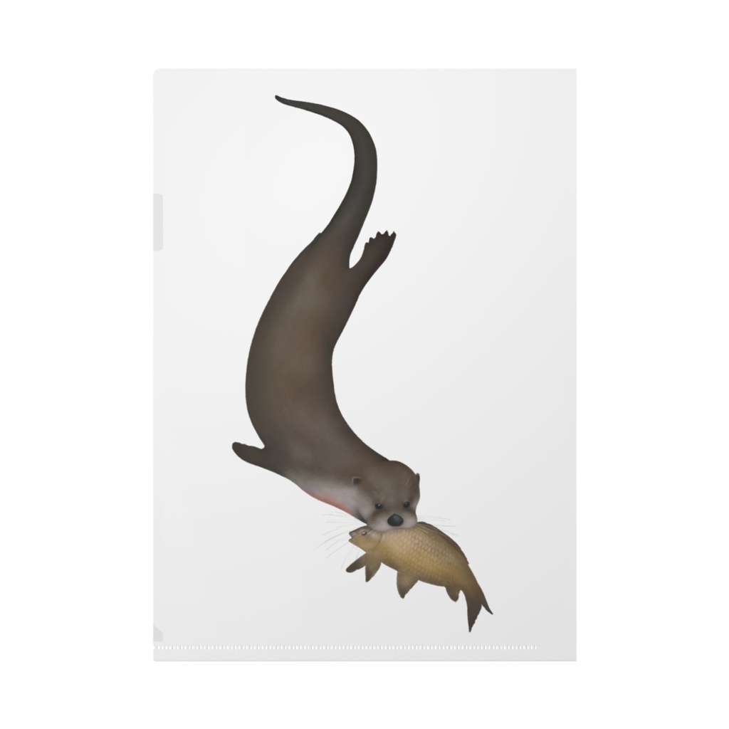 カナダカワウソ