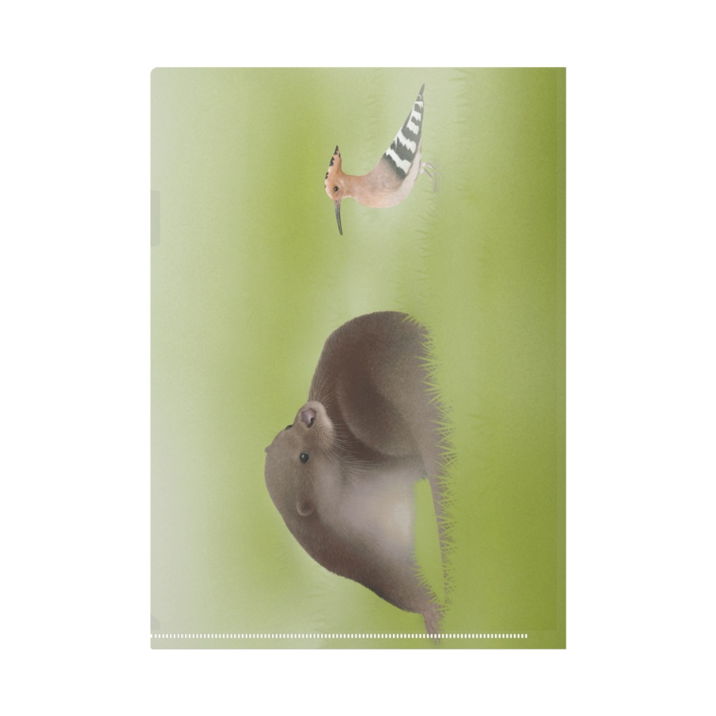 ヤツガシラ カワウソ