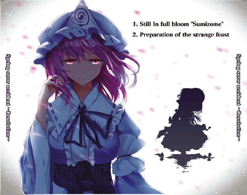 Spring snow accident ~ Resolution ~